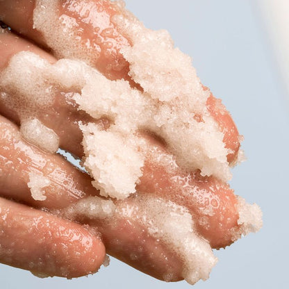 Organic Whipped Body Scrub